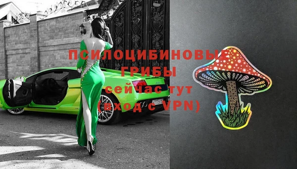 индика Алексеевка