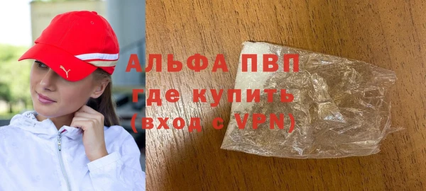 индика Абаза