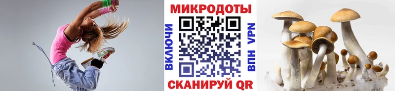 Псилоцибиновые грибы Psilocybine cubensis  МЕГА   Мыски  сколько стоит 